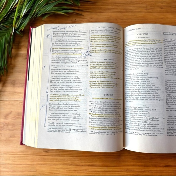 VINTAGE The College Survey of English Literature - Revised Shorter Edition - Picture 11 of 14